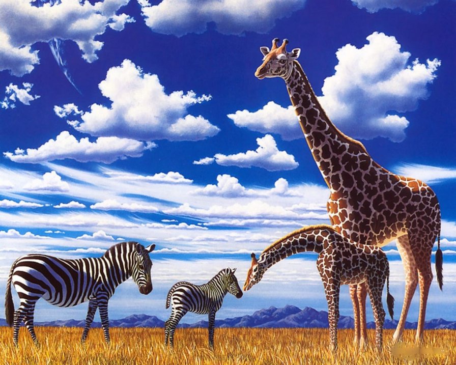 жирафы и зебры - природа, животные - оригинал