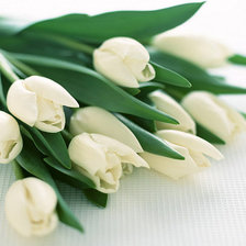 Схема вышивки «Тюльпаны»