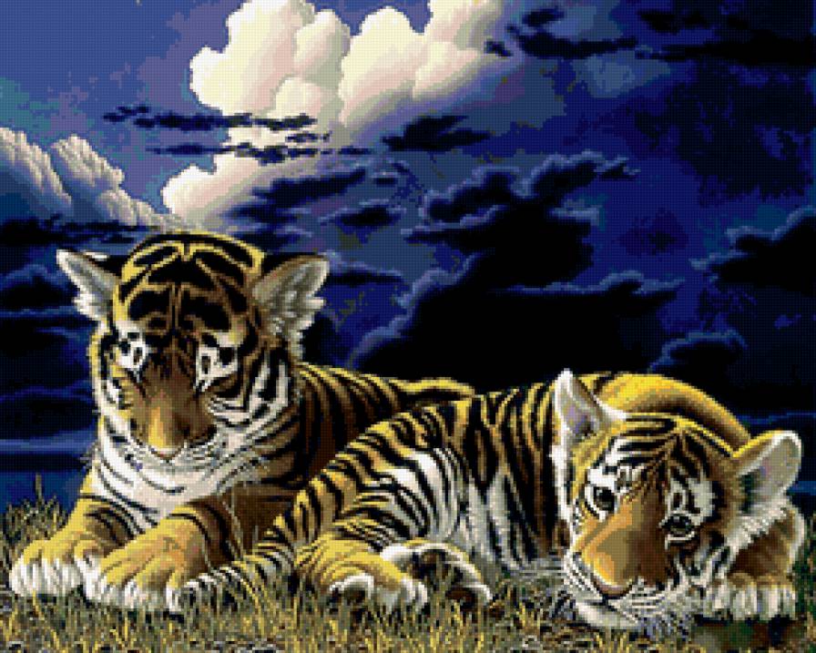 тигрята - животные, звери, тигры - предпросмотр