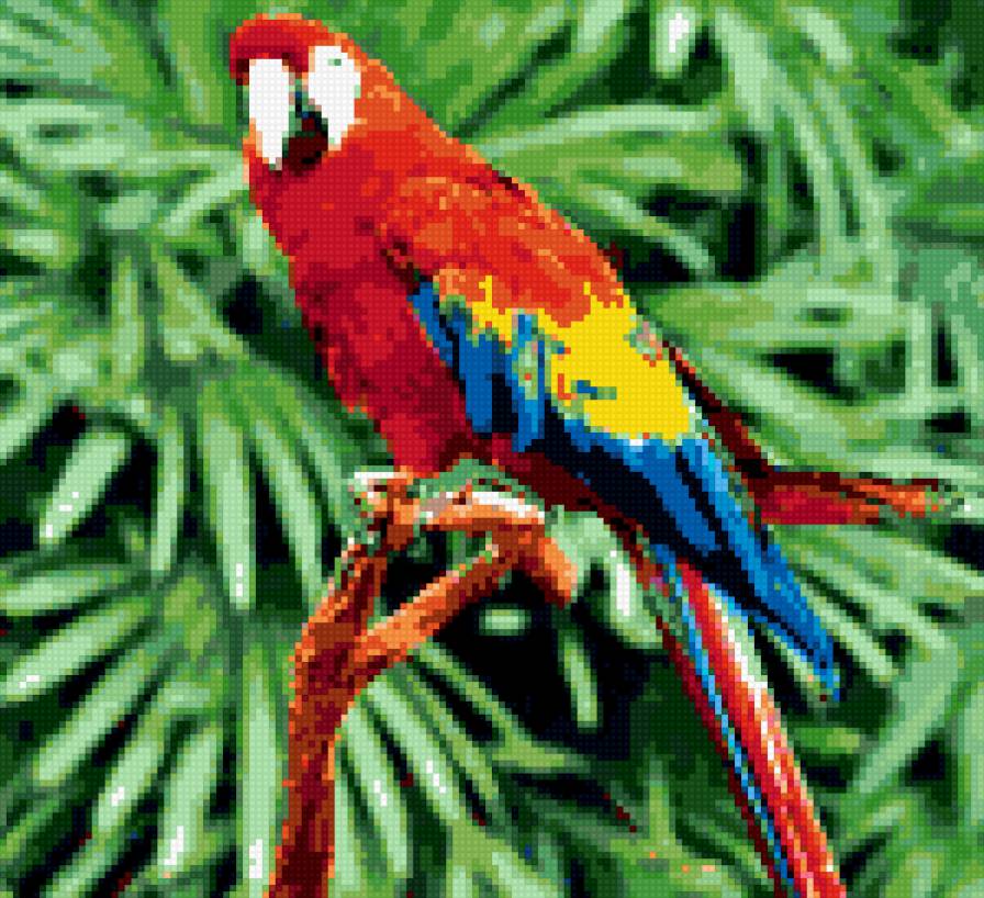 попугай - предпросмотр