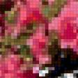 Предпросмотр схемы вышивки «Цветущий бонсай» (№433313)