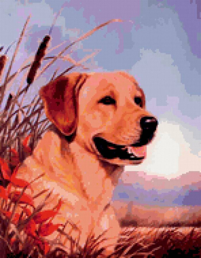 0144 - лето, собака, картина, животные, природа, красота, собаки - предпросмотр