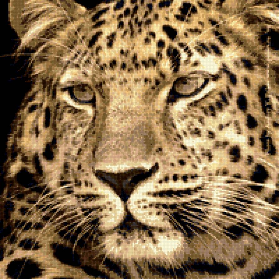 Лео - предпросмотр