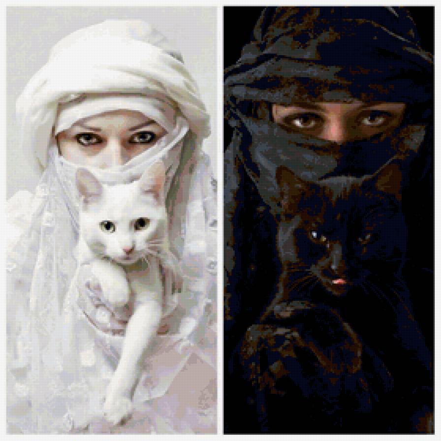 Белое и черное - кошки, девушки, инь-янь - предпросмотр