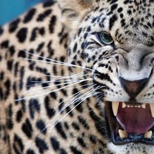 Схема вышивки «№433662»