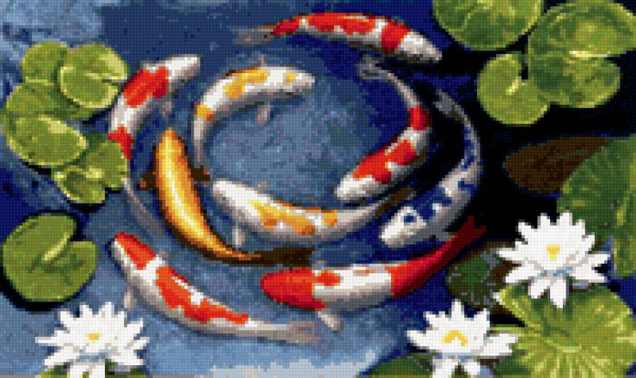 карпы кои - предпросмотр