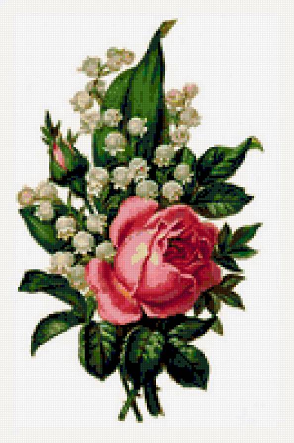 букет - цветы, букет, роза - предпросмотр