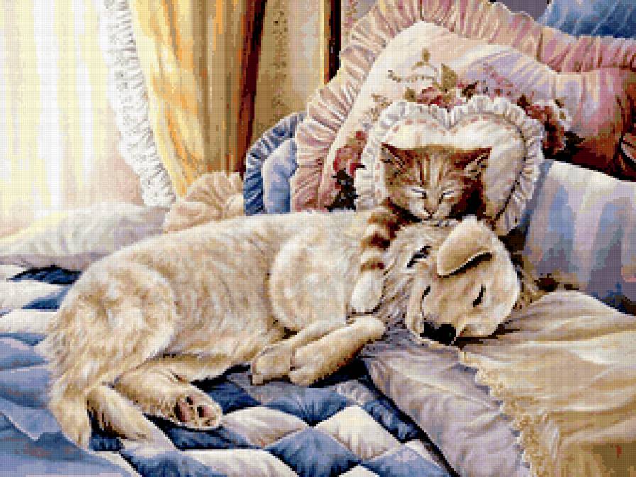 сладкая парочка - собака, сон, животные, кот - предпросмотр