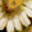 Предпросмотр схемы вышивки «ромашки с ежевикой» (№433878)
