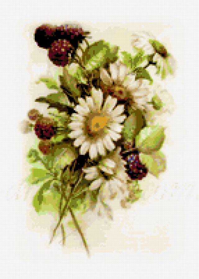 ромашки с ежевикой - букет цветы ромашки ежевика - предпросмотр