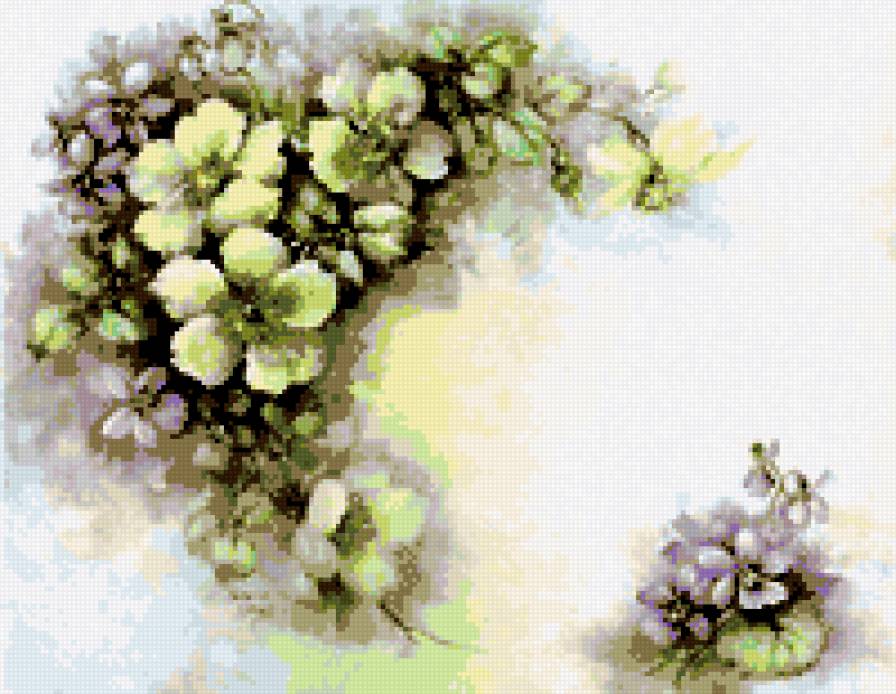 фиалки - букет цветы фиалки - предпросмотр