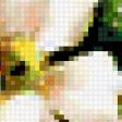 Предпросмотр схемы вышивки «нежность» (№433902)