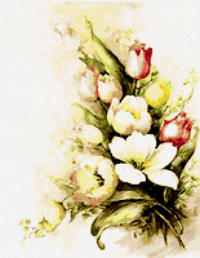 тюльпаны - цветы тюльпаны - предпросмотр