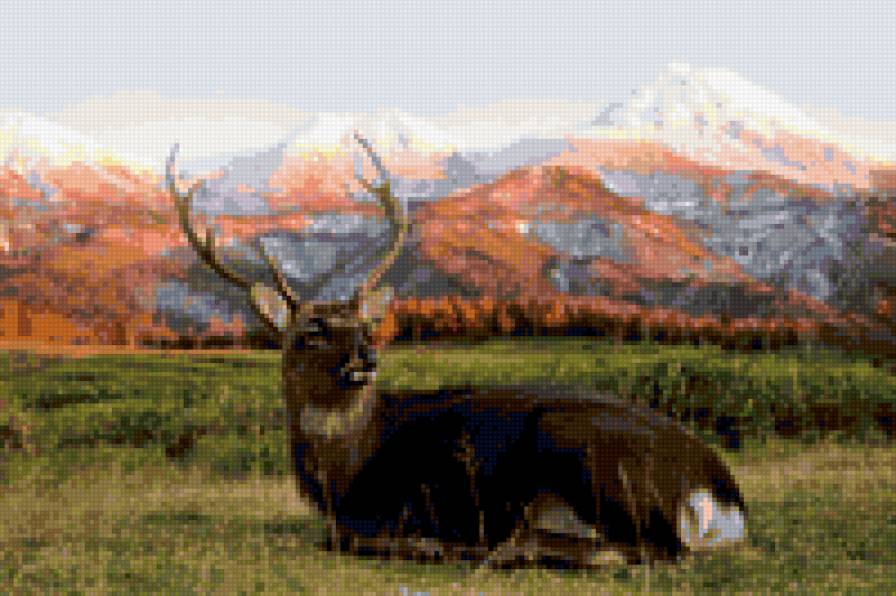 олень - олень - предпросмотр