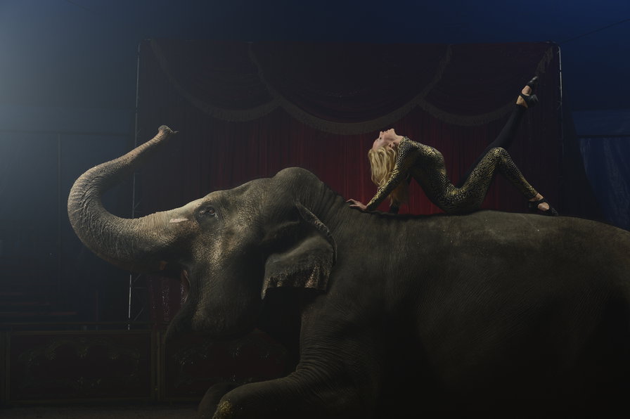 цирк - девушка и слон - оригинал