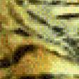 Предпросмотр схемы вышивки «тигрята» (№434413)