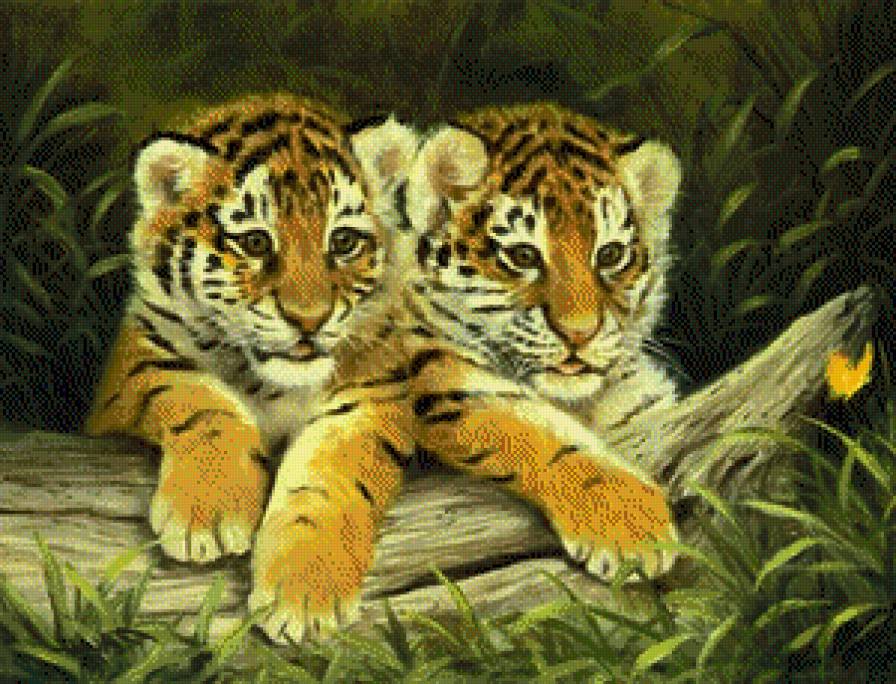 тигрята - тигрята - предпросмотр