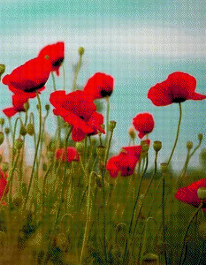 №434472 - предпросмотр