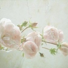 Схема вышивки «Нежность»