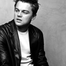 Схема вышивки «дикаприо»