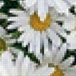 Предпросмотр схемы вышивки «ромашковое сердце» (№434670)