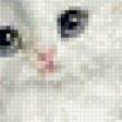 Предпросмотр схемы вышивки «котенок с голубым бантом» (№434773)