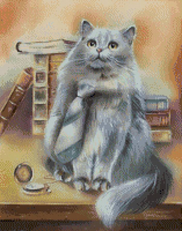 кот ученый - животные, кошки - предпросмотр