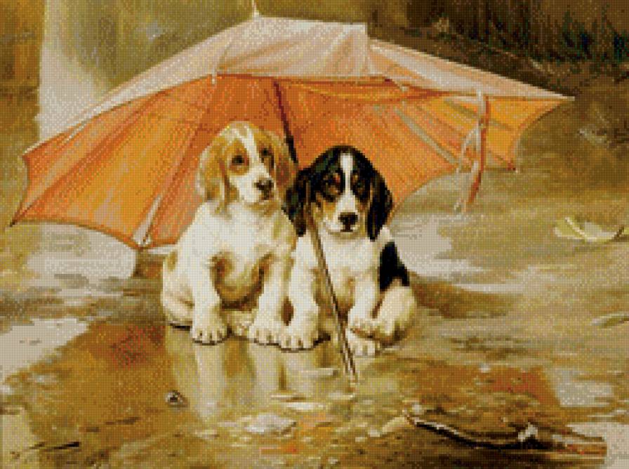 Двое под зонтом 1 - дождь., собаки, щенки, животные - предпросмотр