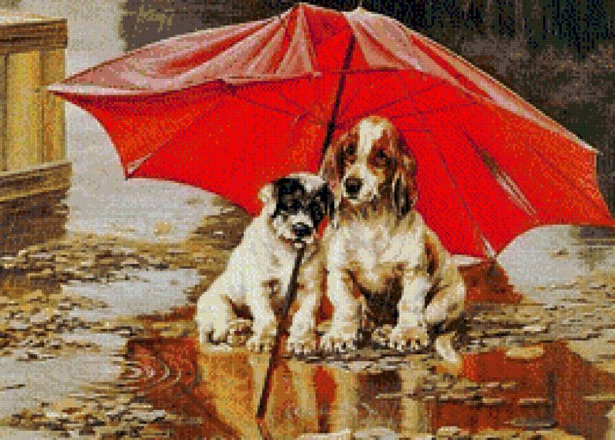 Двое под зонтом 2 - животные, собаки, щенки, дождь. - предпросмотр