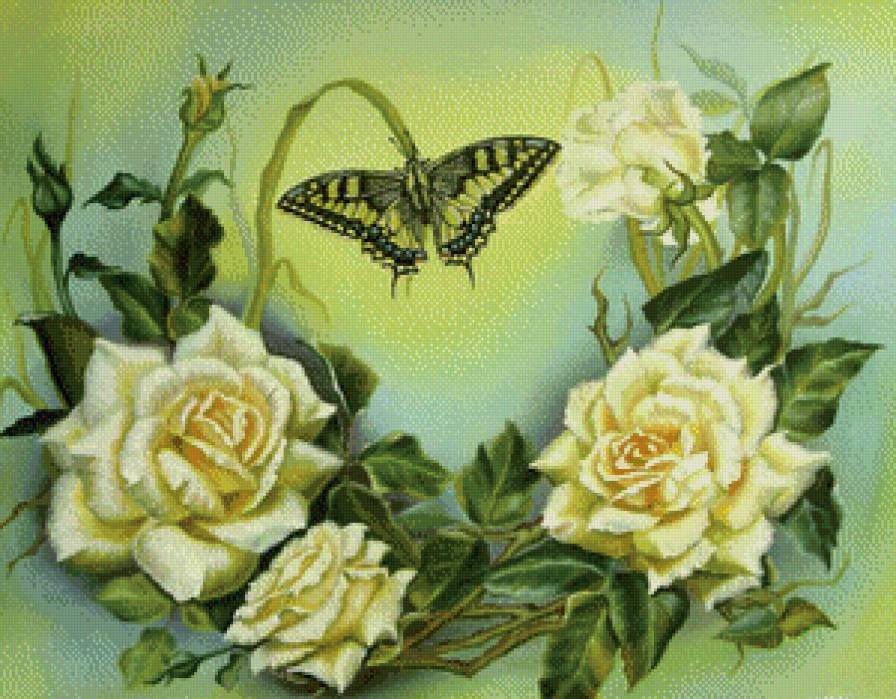 розы - цветы и бабочки - предпросмотр