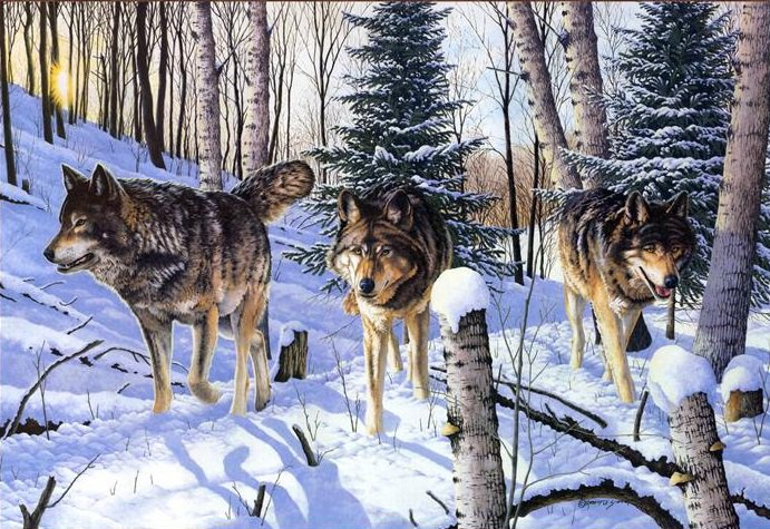 волки - снег, лес, животные, зима - оригинал