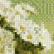 Предпросмотр схемы вышивки «девочка с ромашками» (№435482)