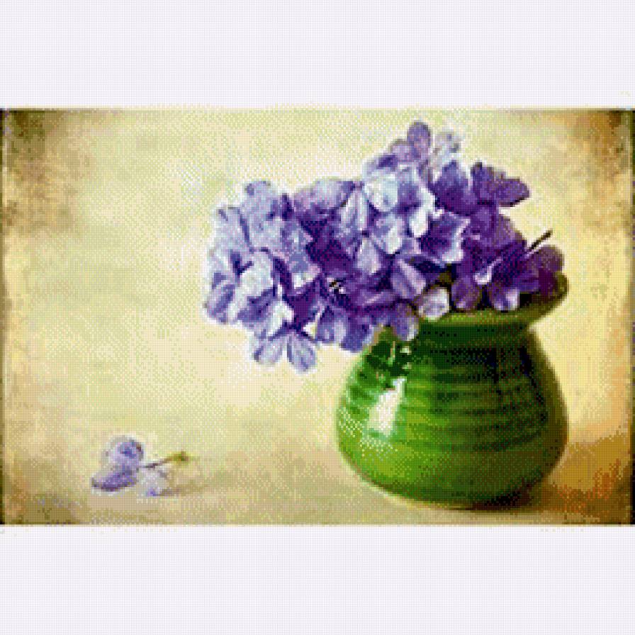 фиалки - цветы, букет, красиво, фиалки - предпросмотр