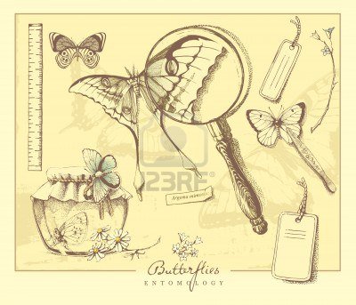 babochka - оригинал