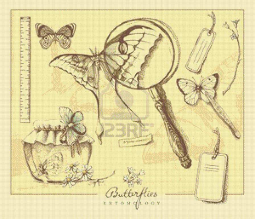 babochka - предпросмотр