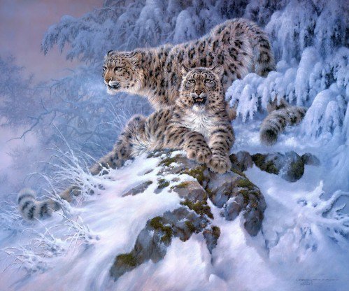 №435674 - животные - оригинал