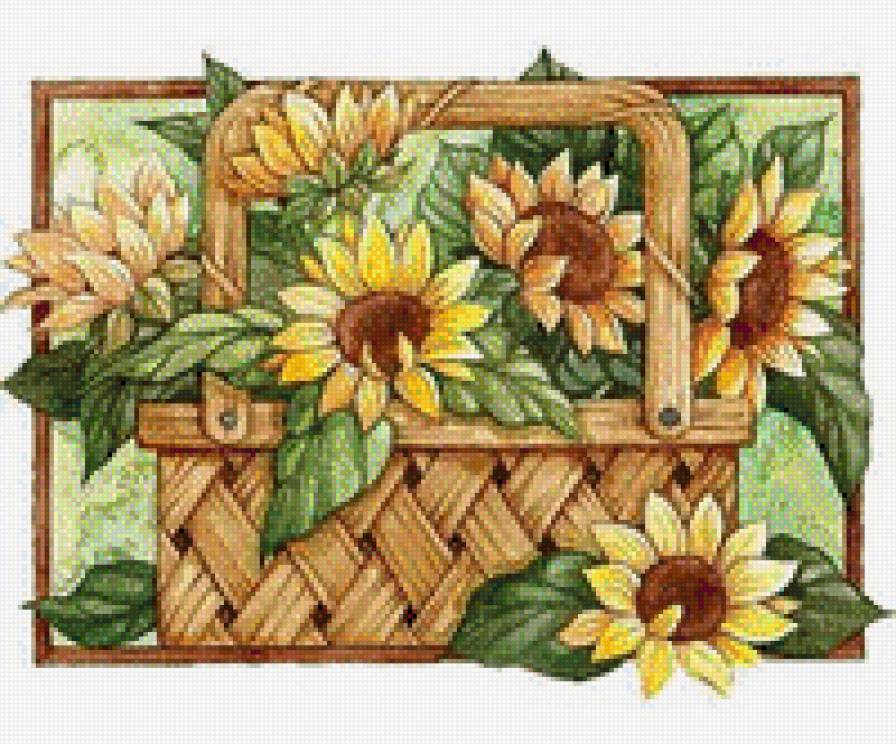 подсолнухи - букет, подсолнухи, цветы - предпросмотр