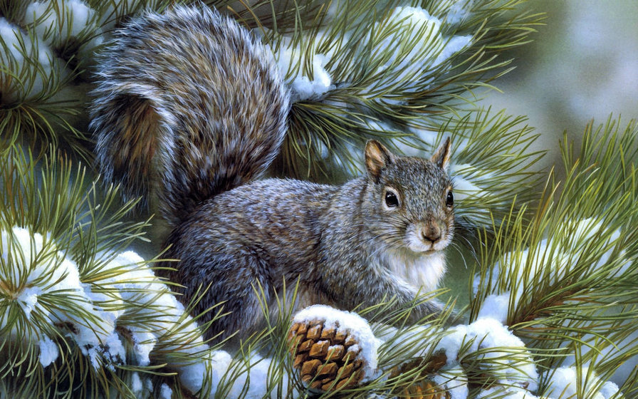 белочка - белка, животные, природа, звери - оригинал