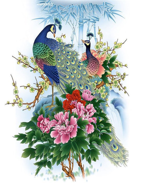 павлины - птицы, цветы, павлин - оригинал