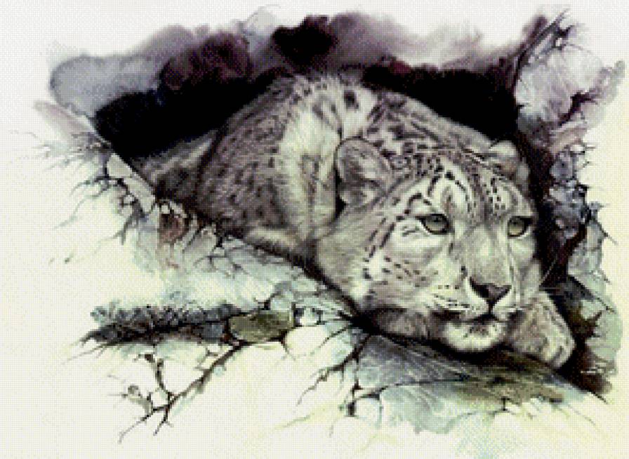 в засаде - живопись, картина, барс, пещера, хищник - предпросмотр