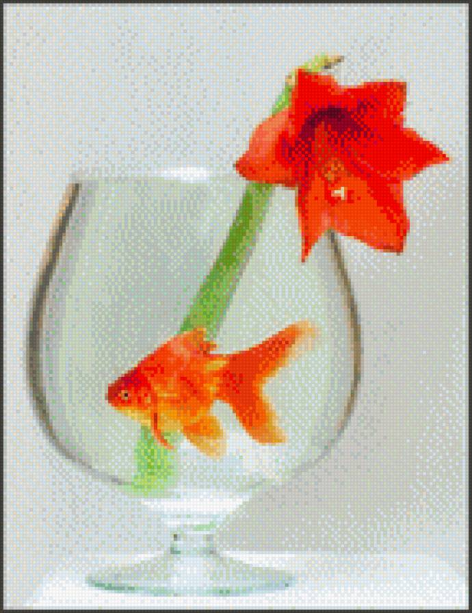 Рыбка с цветком - цветок, амарилис, рыбка, золотая рыбка, рыба - предпросмотр