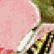 Предпросмотр схемы вышивки «Бабочка и цветок» (№436349)