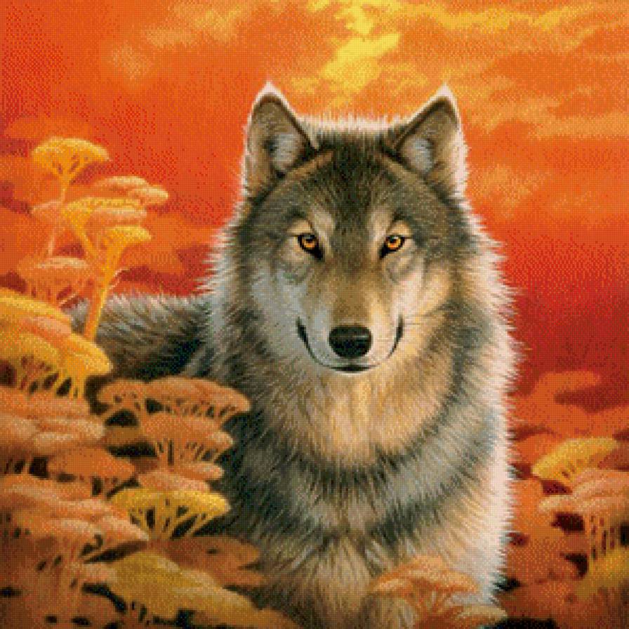 Одинокий волк - животные, волк, одинокий волк - предпросмотр