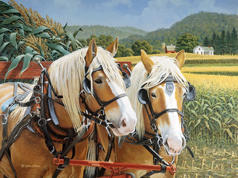 №436414 - оригинал