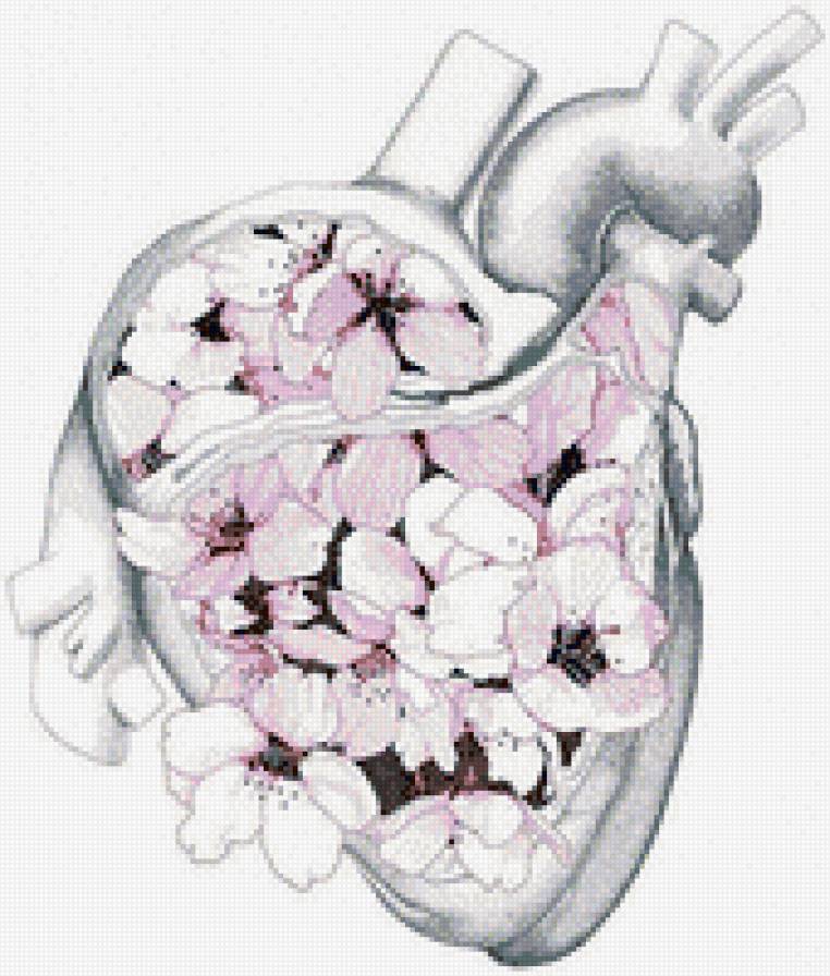 Сердце - предпросмотр