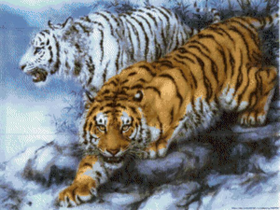 тигры - животные, пара, влюбленные, кошки, котики - предпросмотр