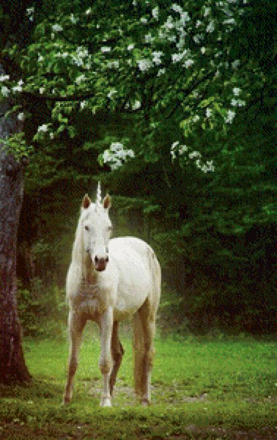 единорог - лес, единорог - предпросмотр