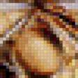 Предпросмотр схемы вышивки «дали» (№437013)