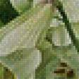Предпросмотр схемы вышивки «лилии» (№437347)