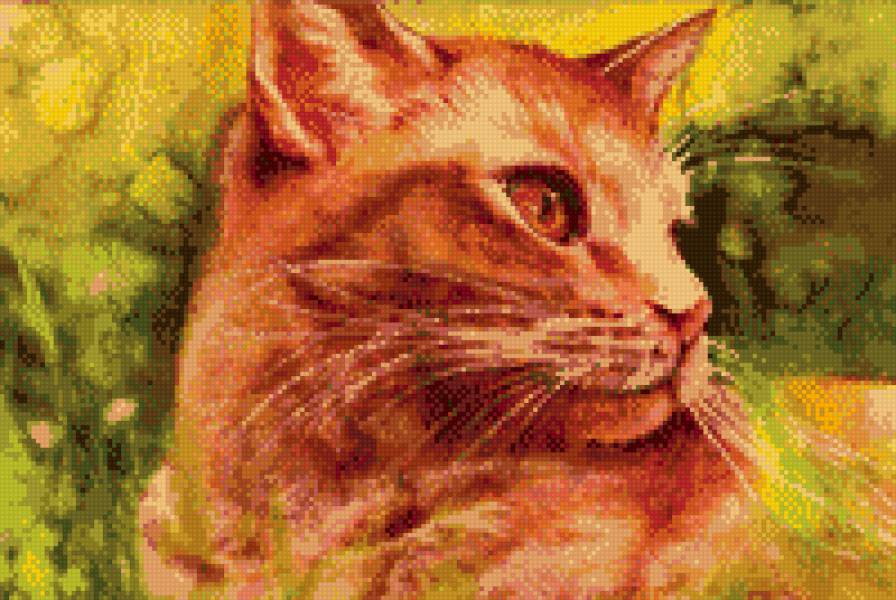 рыжик - рыжий кот - предпросмотр